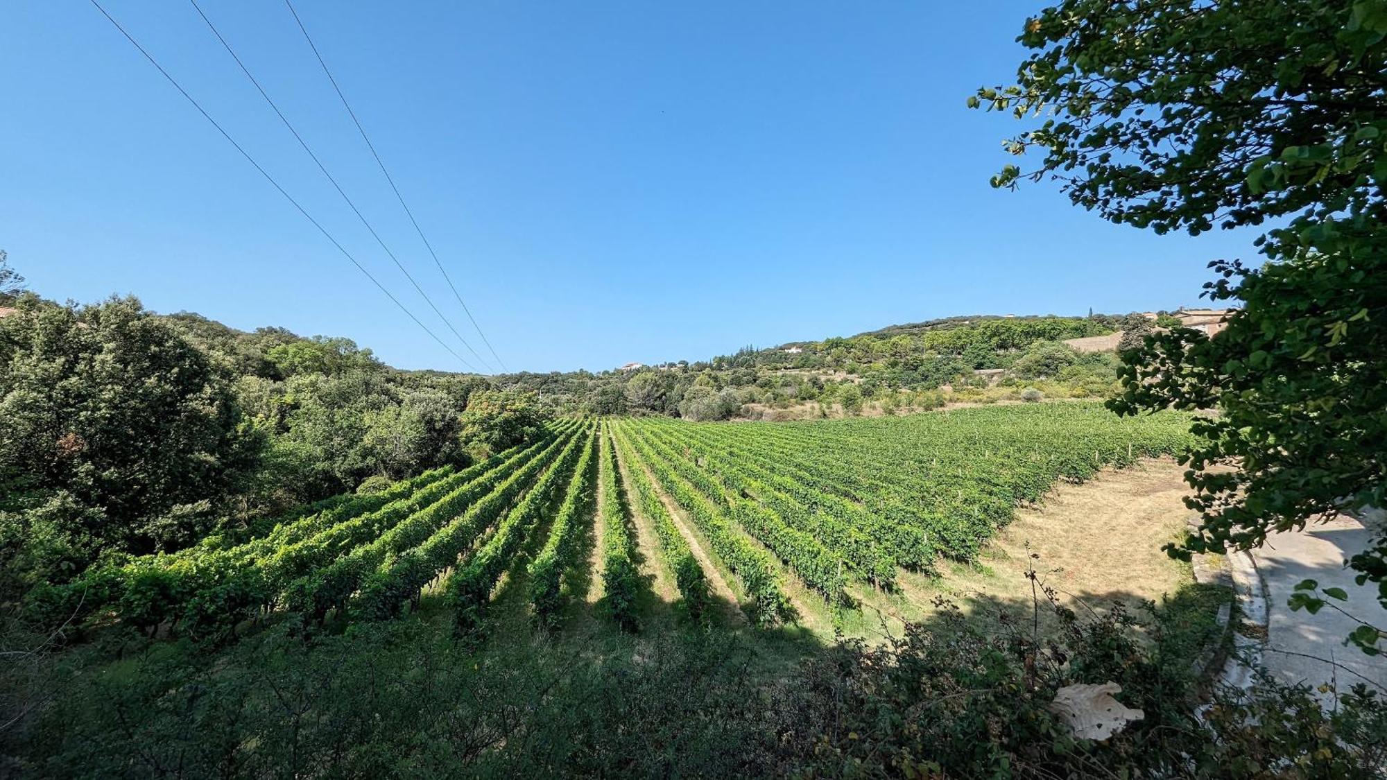 La Galante Hotel Faugères Kültér fotó